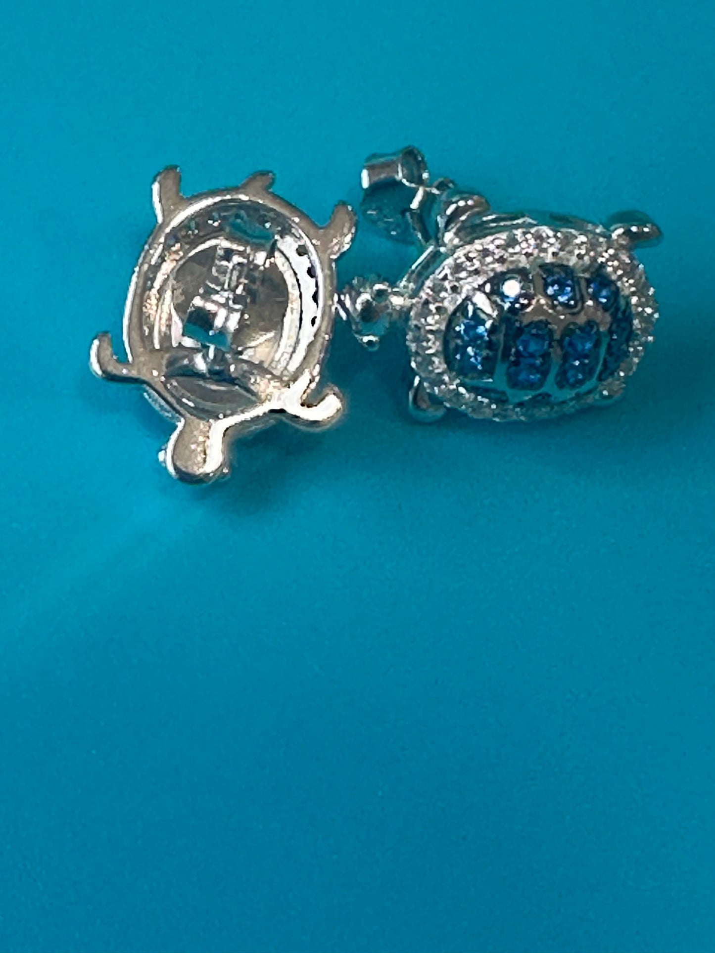 Aretes tortuga